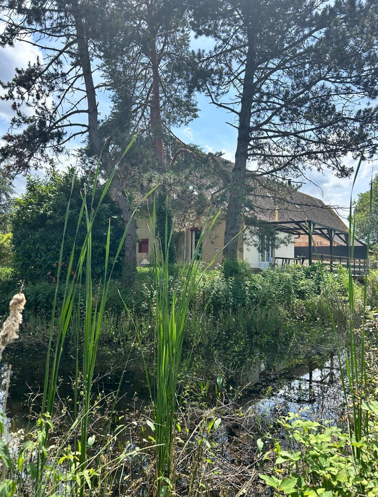 Le Gite Du Chateau Mouton Chatenoy-le-Royal Esterno foto