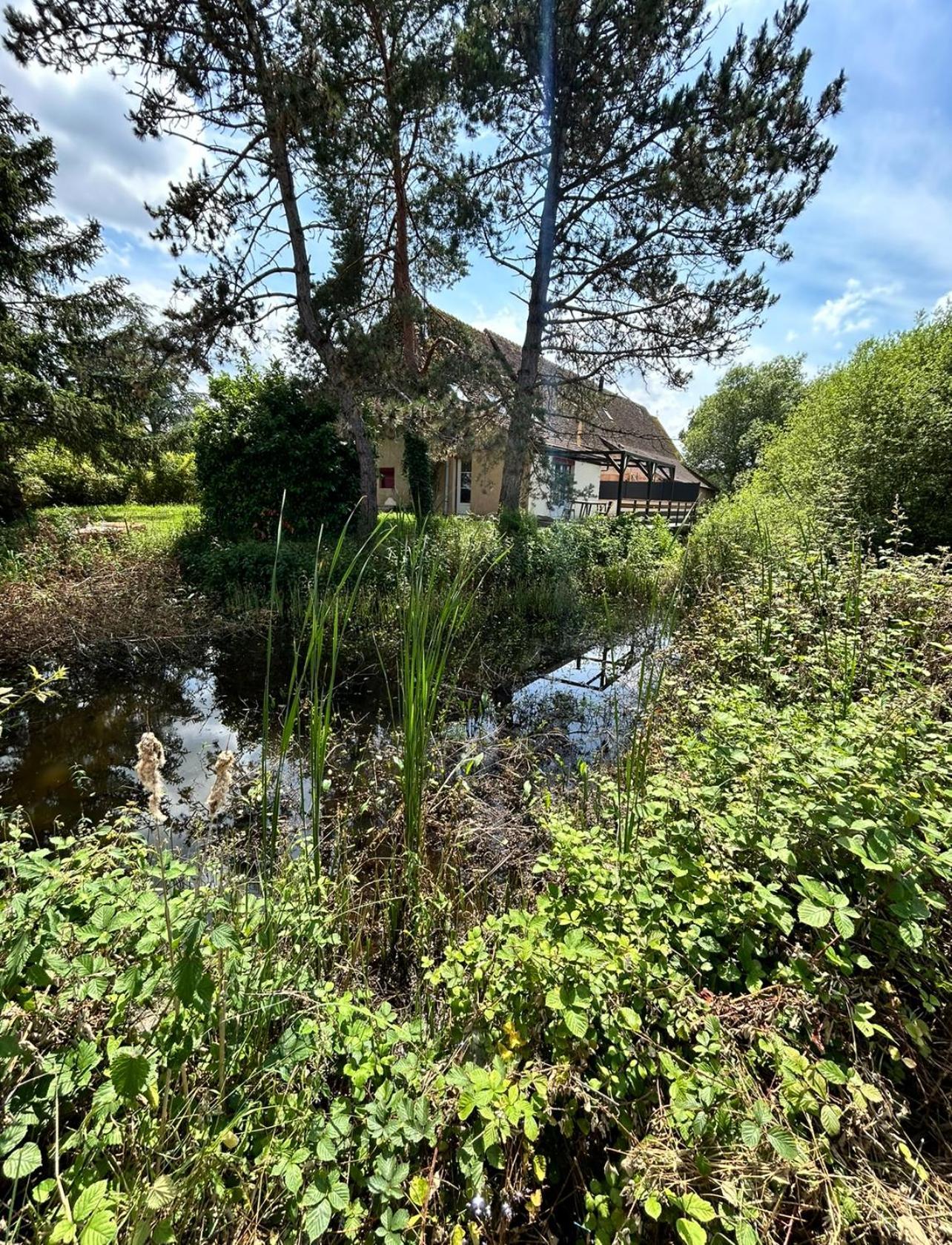 Le Gite Du Chateau Mouton Chatenoy-le-Royal Esterno foto